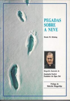 capa do livro pegadas sobre a neve